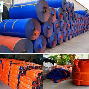 Mua bạt xanh cam chính hãng tại Minh Phú Group