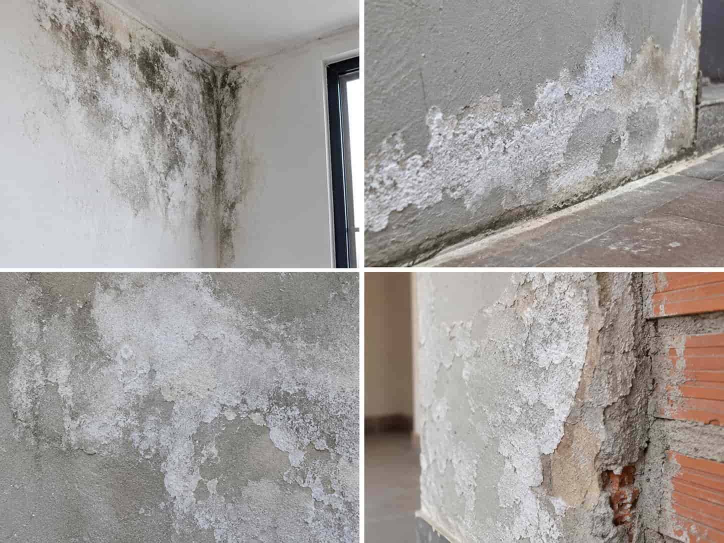 7 Cách Xử Lý Tường Bị Mốc Trắng Hiệu Quả
