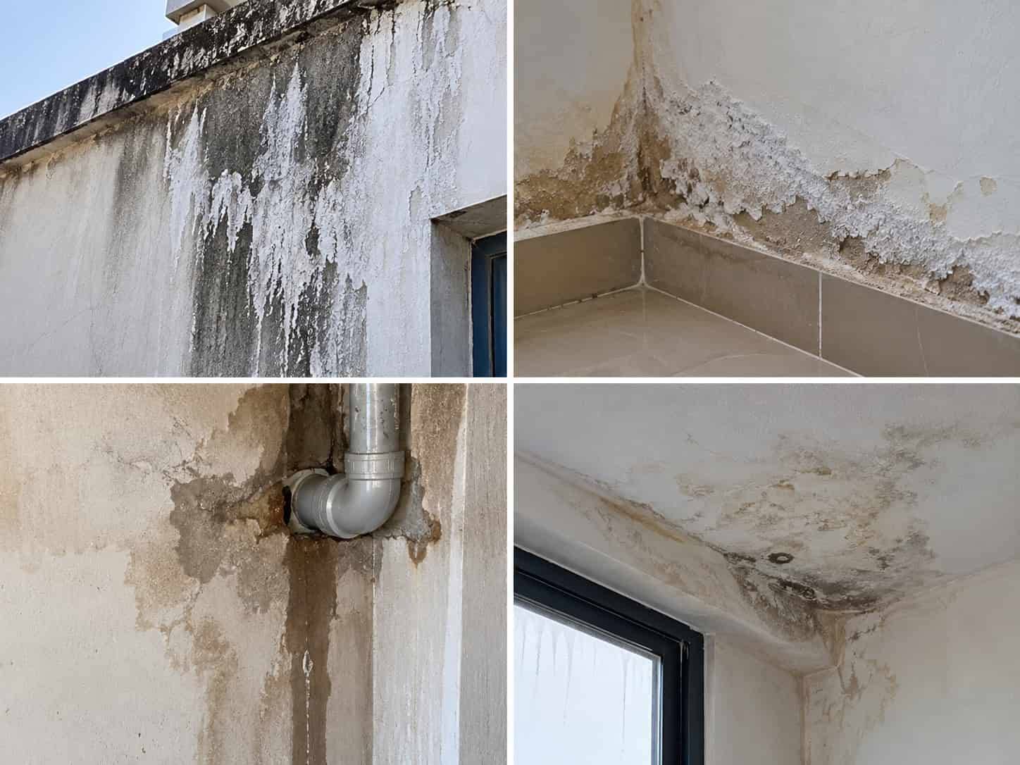 7 Cách Xử Lý Tường Bị Mốc Trắng Hiệu Quả