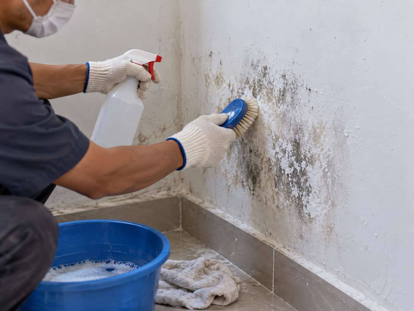 7 Cách Xử Lý Tường Bị Mốc Trắng Hiệu Quả