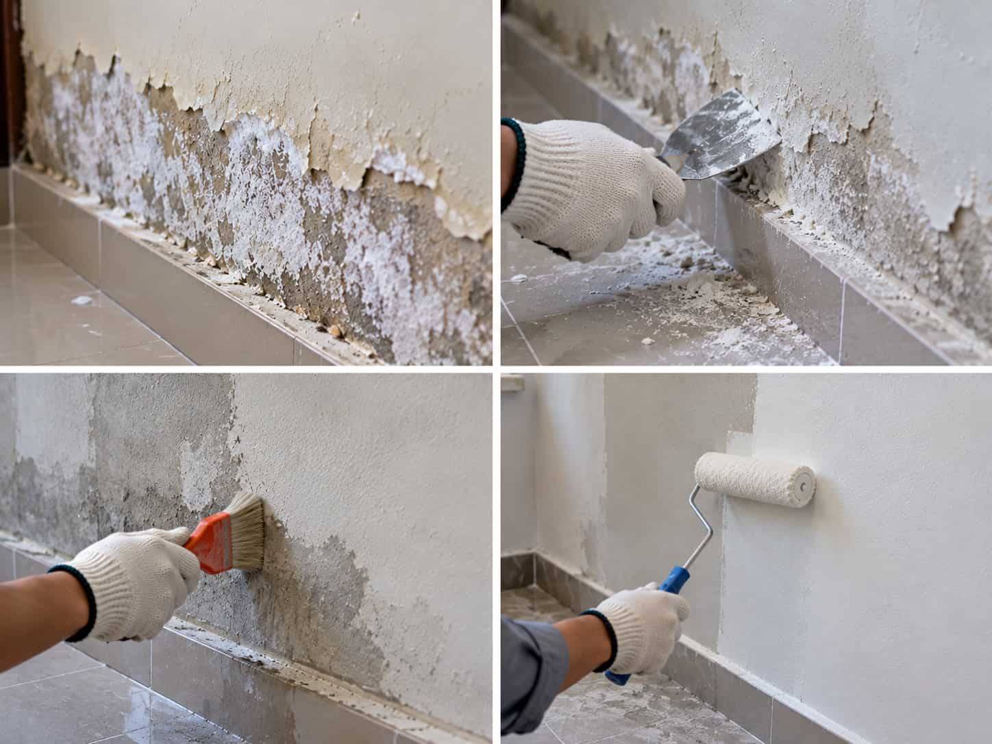 Tường Nhà Bị Sùi: 5 Nguyên Nhân Và Cách Khắc Phục